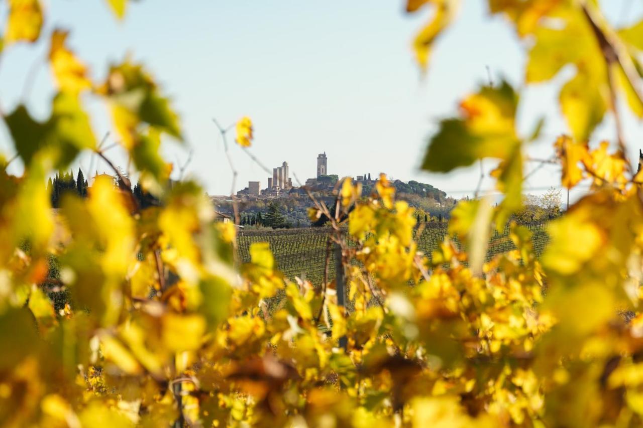 Locanda Dei Logi San Gimignano Eksteriør billede